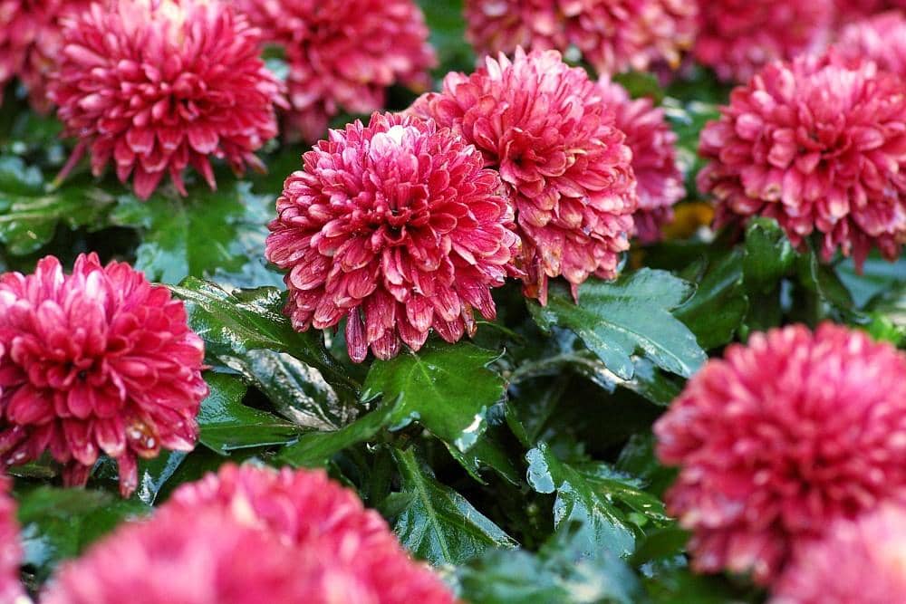 Unsplash.com/Yoksel Zok