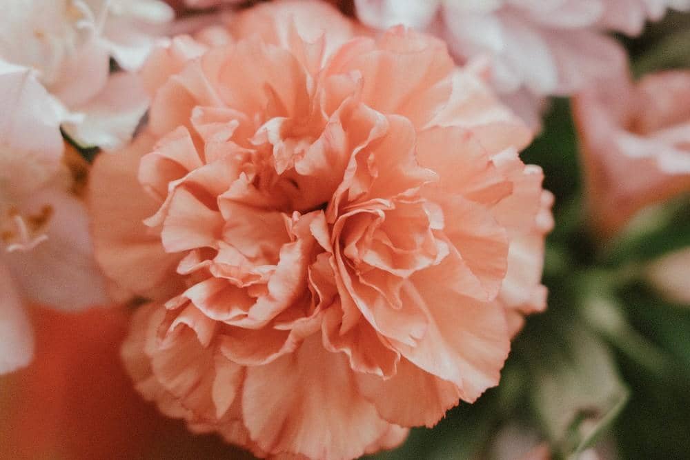 Unsplash.com/Zoe Mccrum