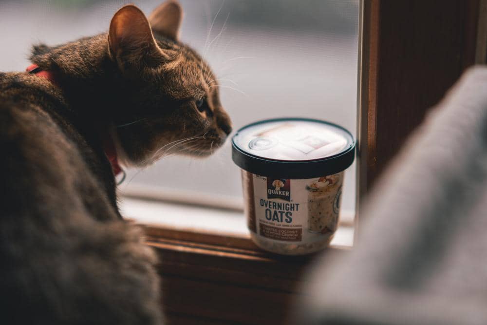 pexels.com/Craig Adderley