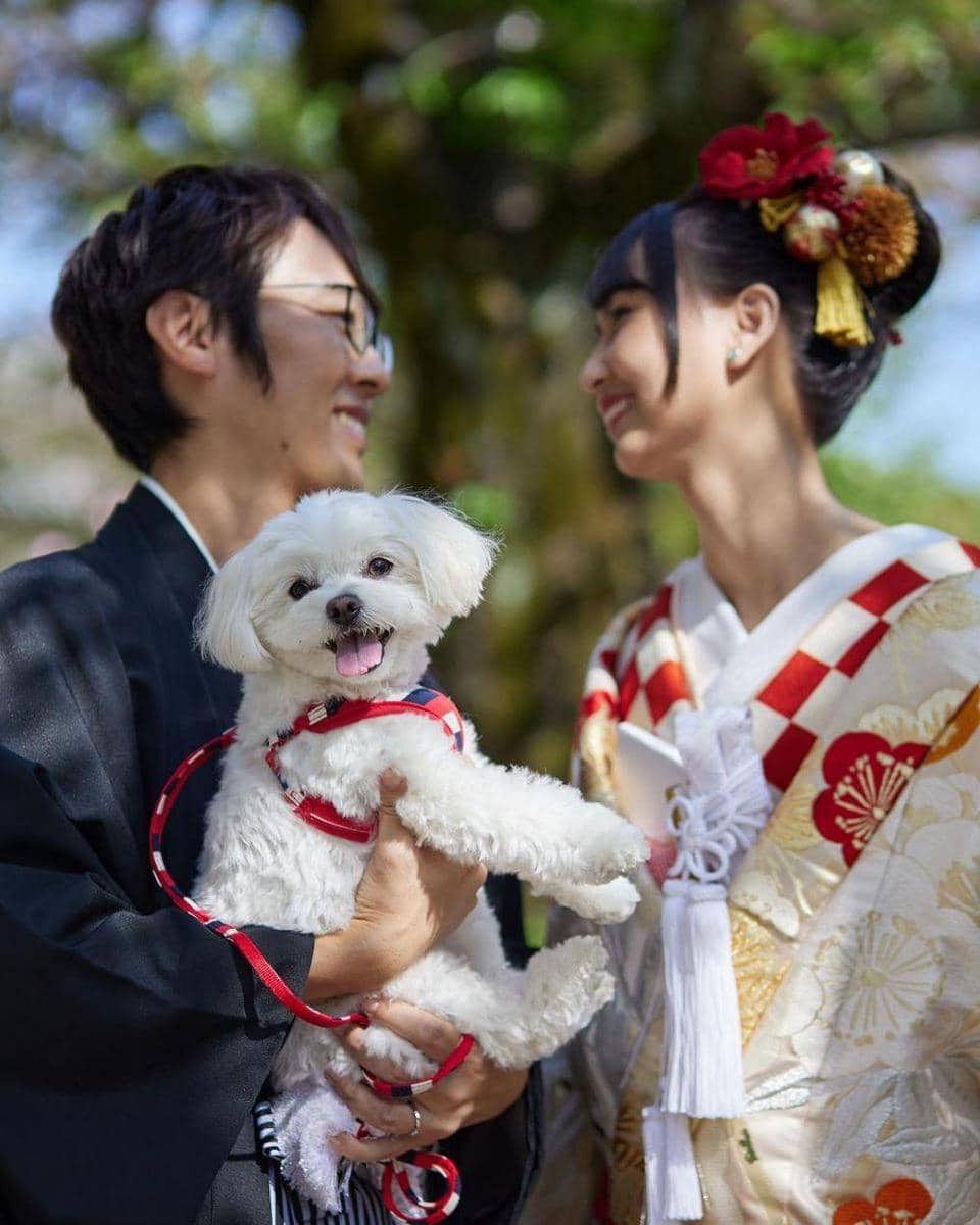 instagram.com/ sutepiii