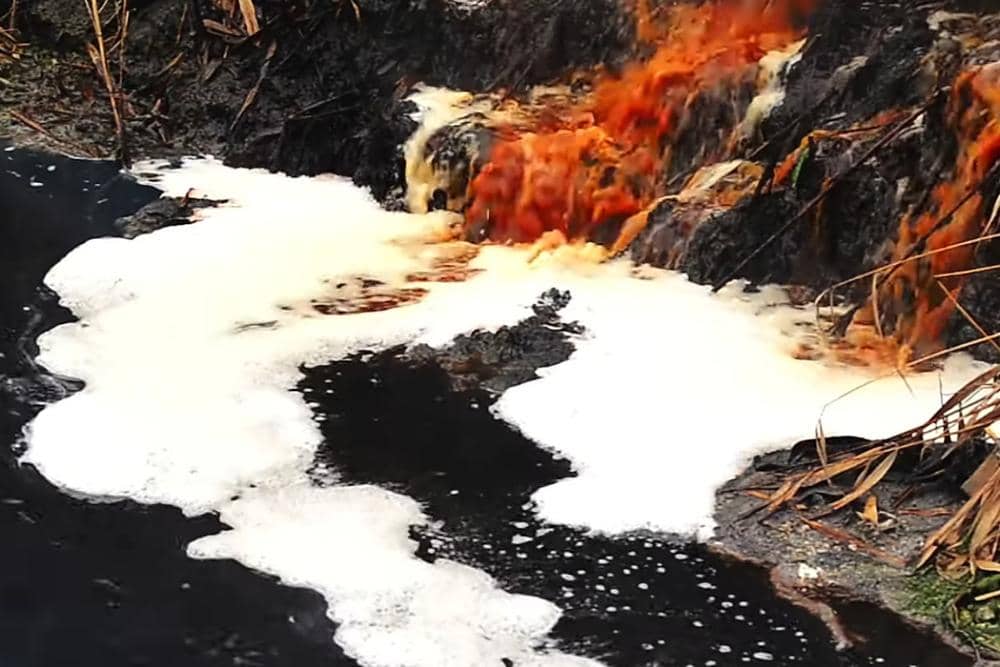 YouTube/EATING OUR WAY TO EXTINCTION