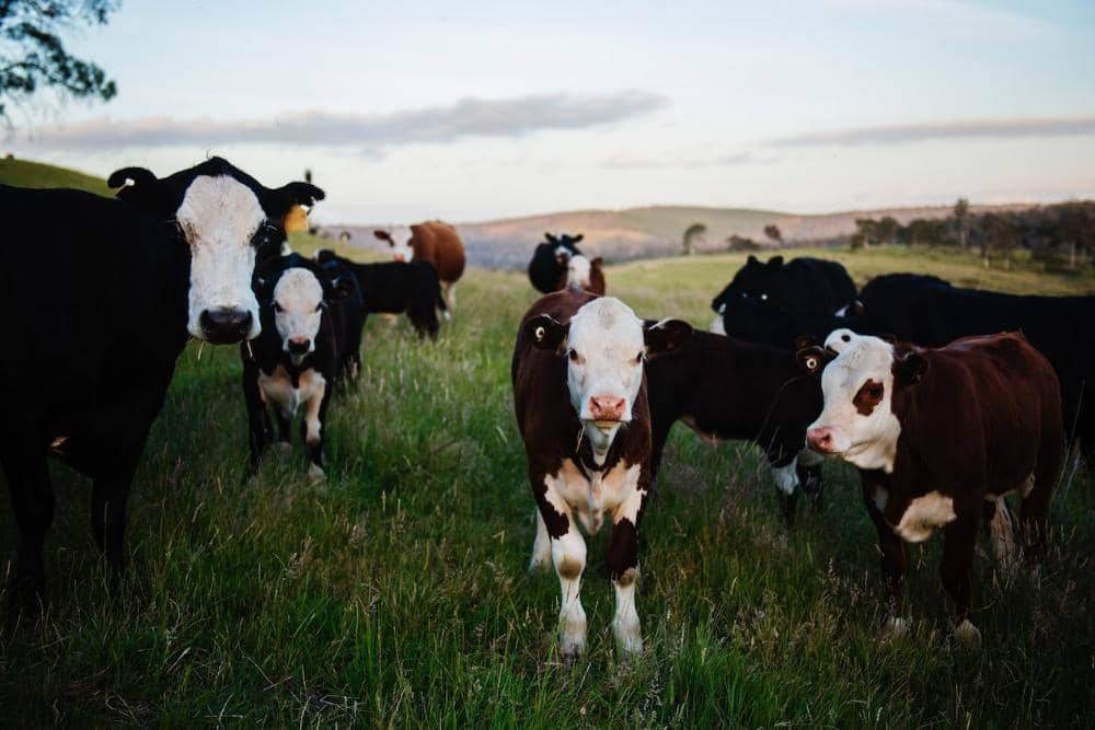 Pexels.com/Kat Smith