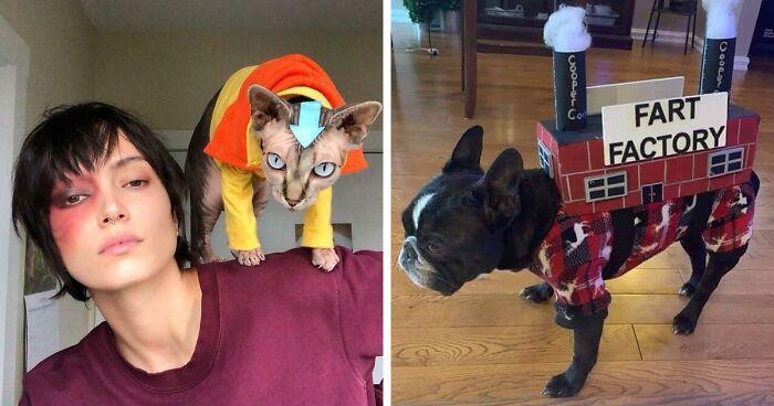 20 Potret Hewan Peliharaan Mengenakan Kostum Halloween, Bikin Gemas!
