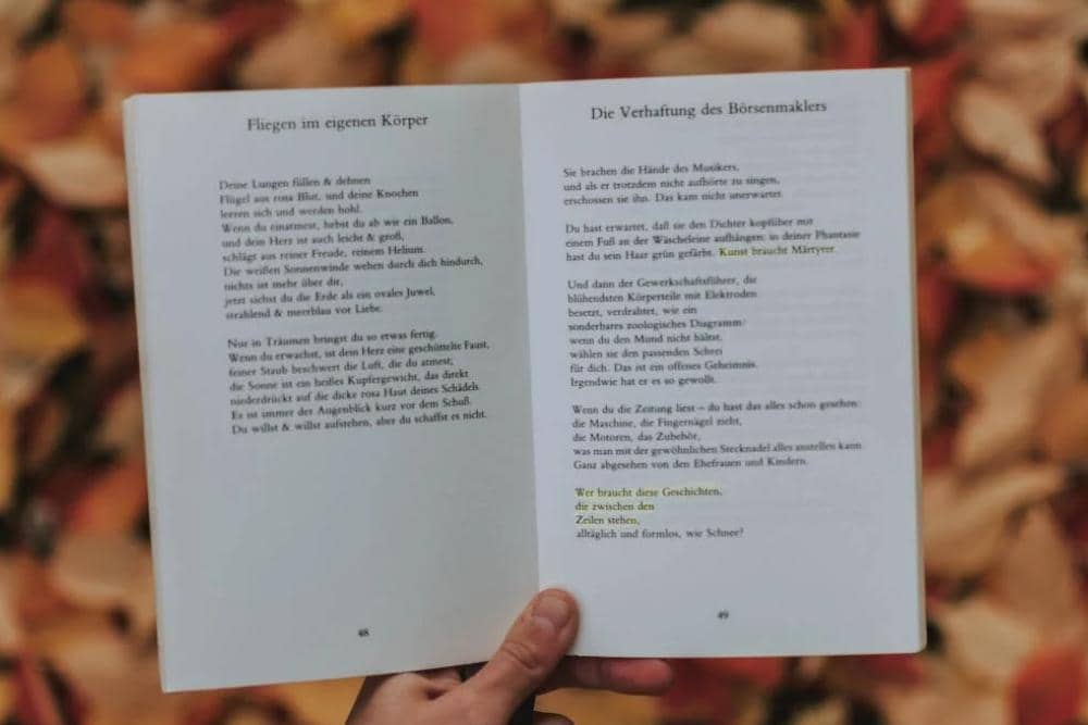 pexels.com/lil artsy