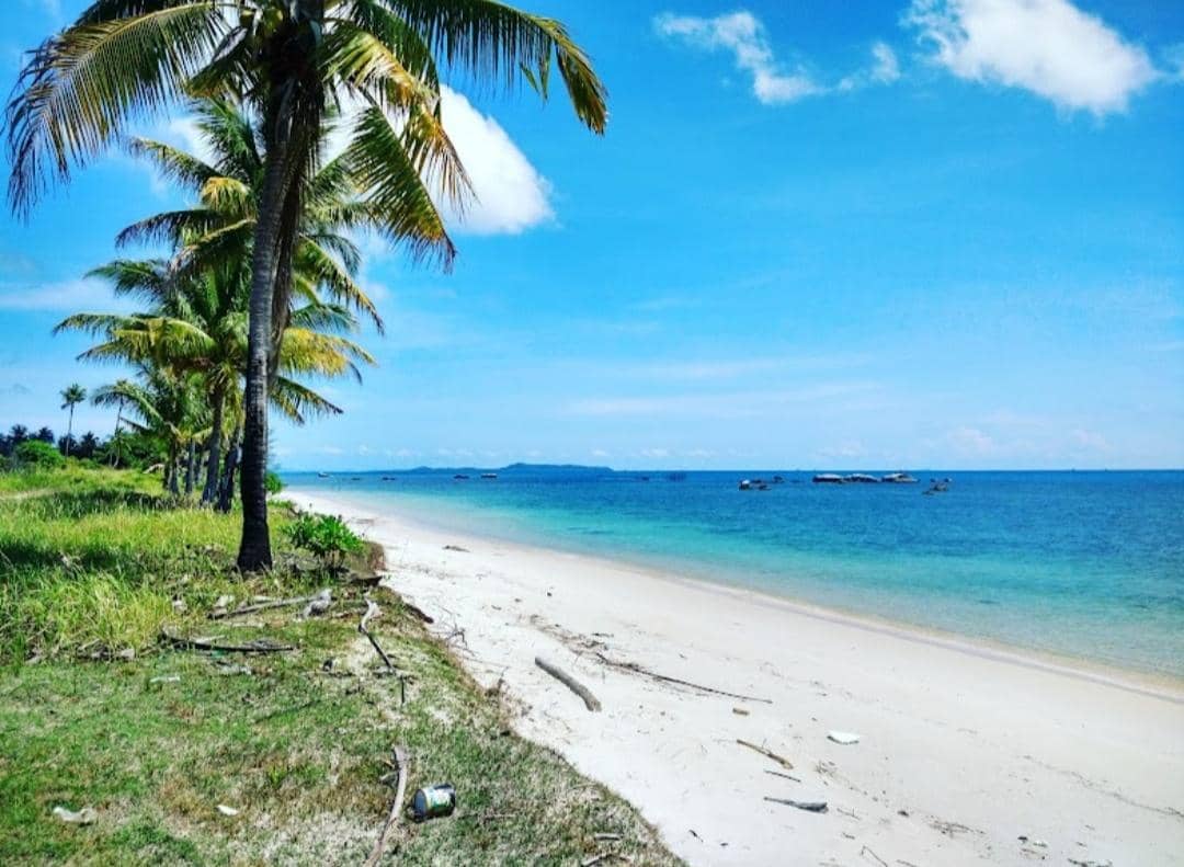 Google.com/Andi Junaidi