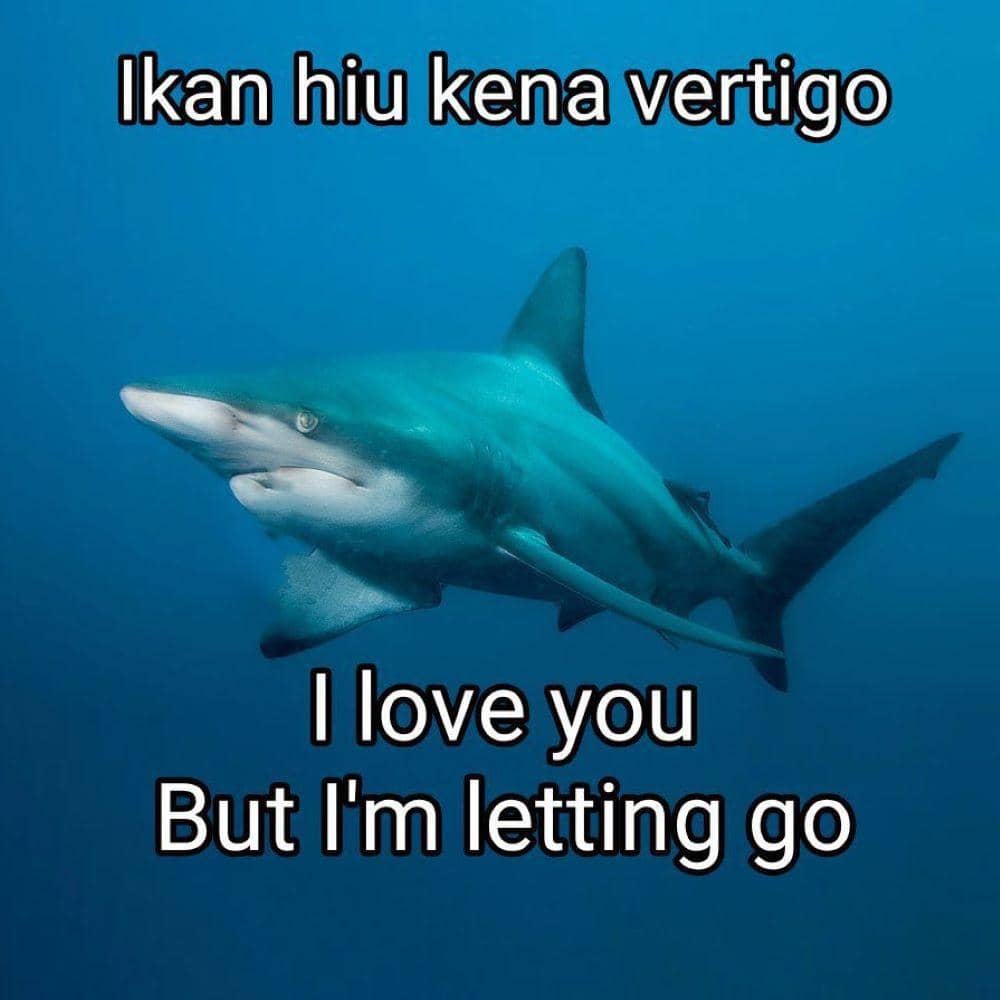 Twitter.com/lebihcerah