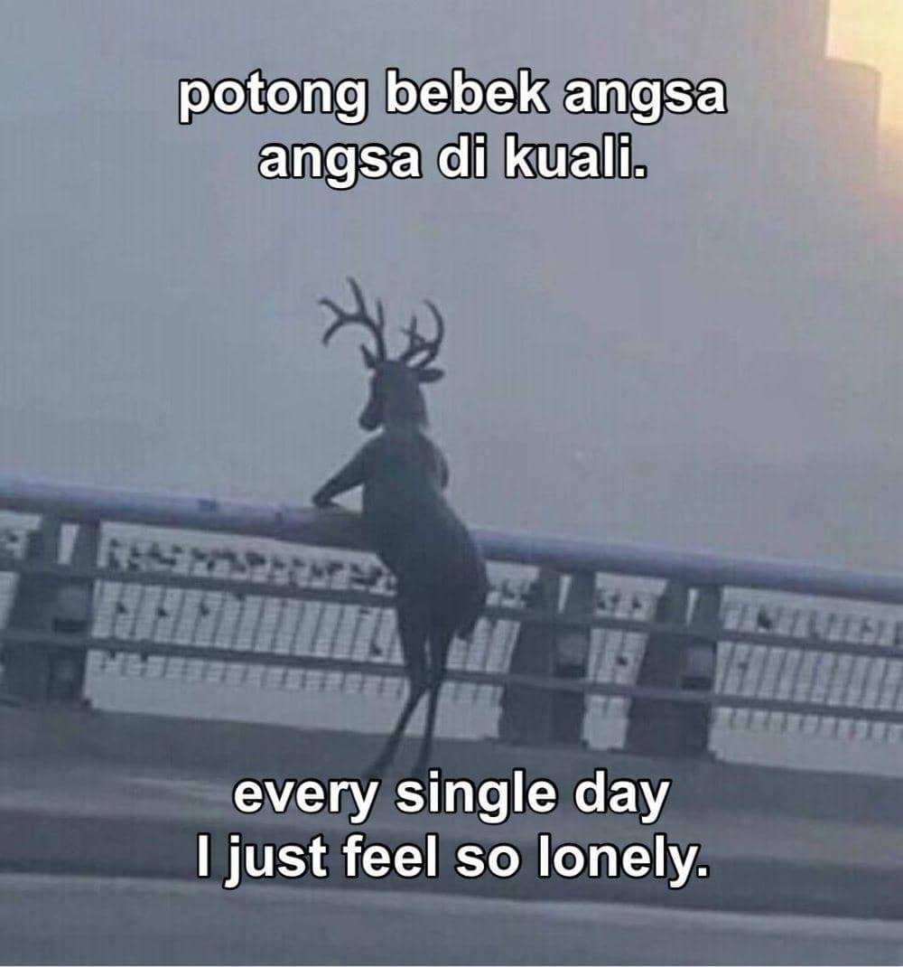 Twitter.com/lebihcerah