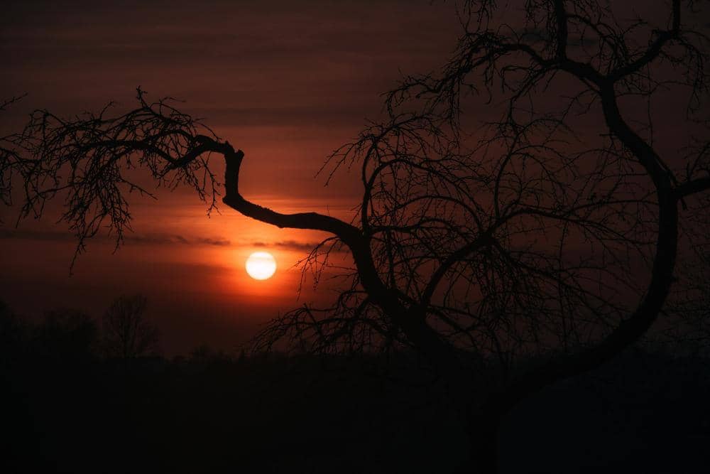 pexels.com/Irina Iriser