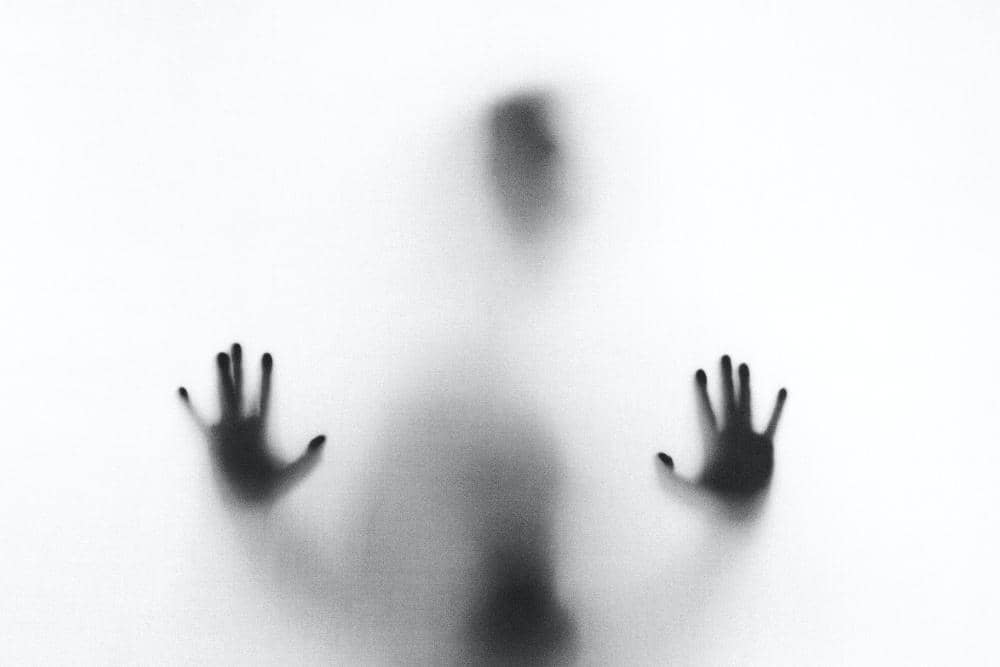 unsplash.com/Stefano Pollio