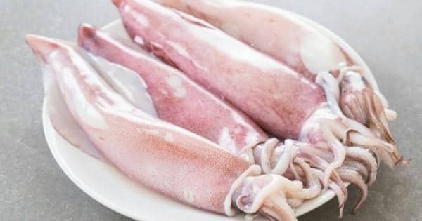 Freepik.com/topntp26