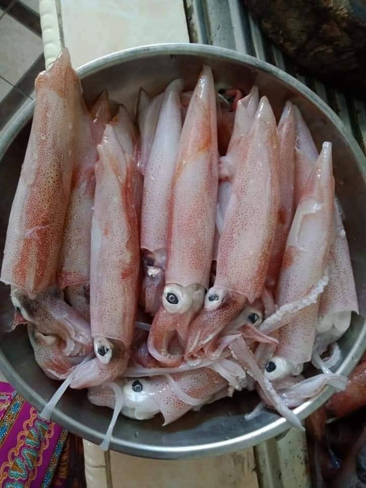 Facebook.com/Supplier Ikan Segar