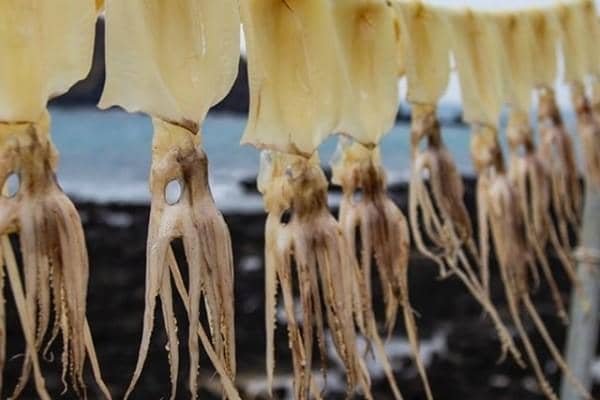 Instagram.com/posieonthelamb