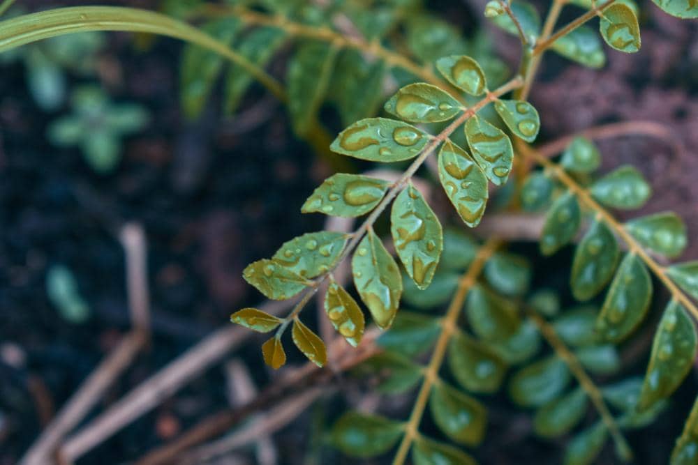 unsplash.com/Jordan Ling