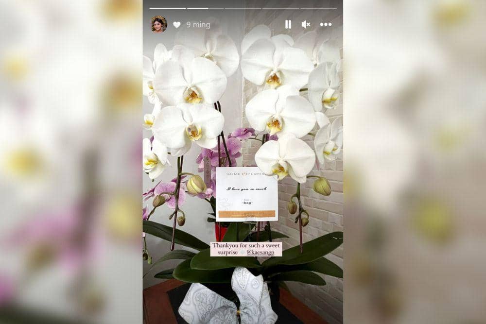 instagram.com/ erinagudono