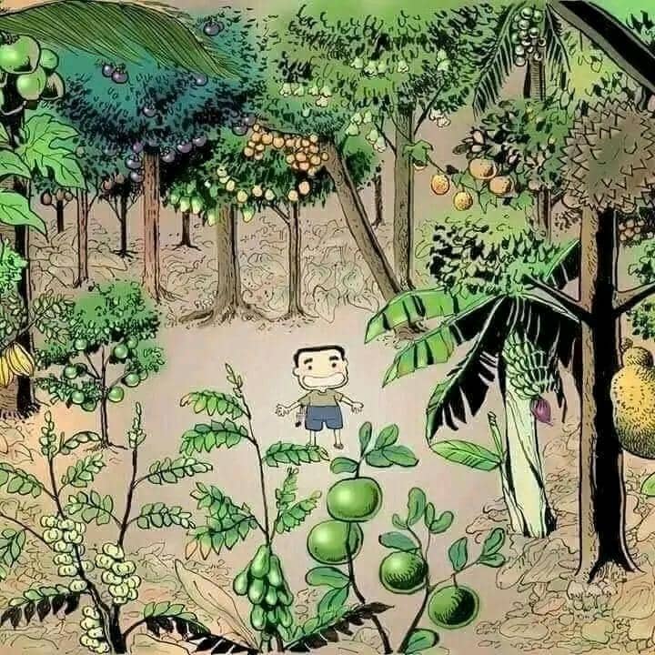 Instagram.com/Dek Farmhouse