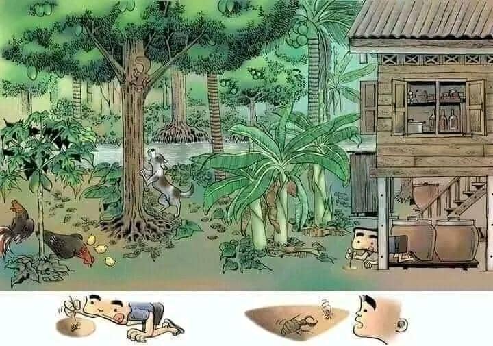 Instagram.com/Dek Farmhouse