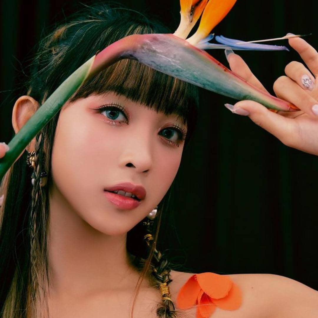 instagram.com/secretnumber.official