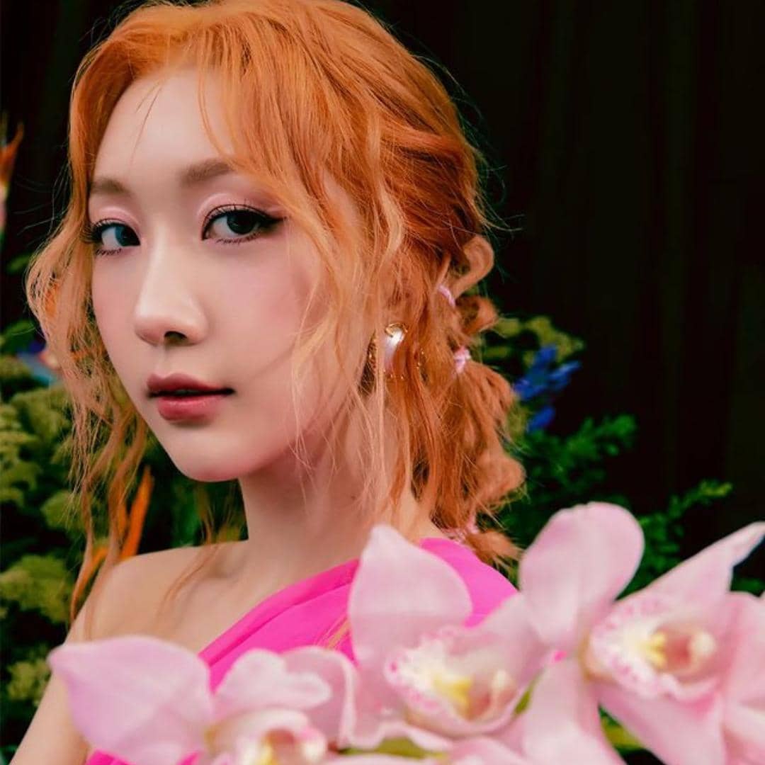 instagram.com/secretnumber.official