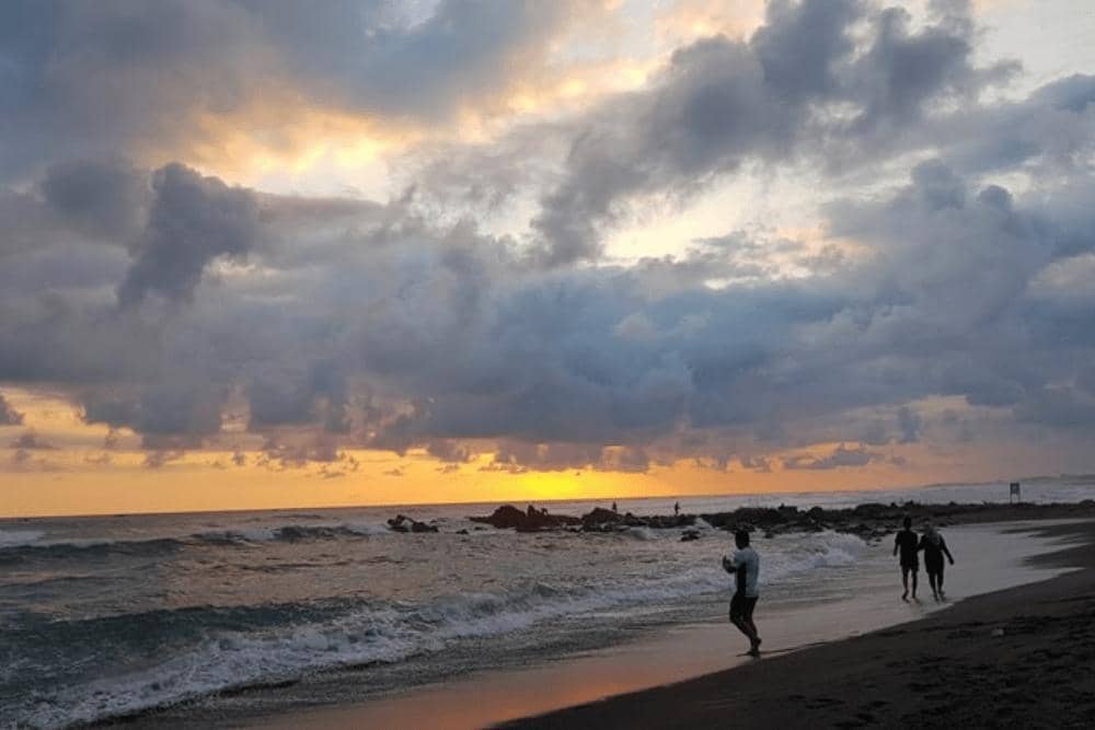 Situs nativeindonesia.com