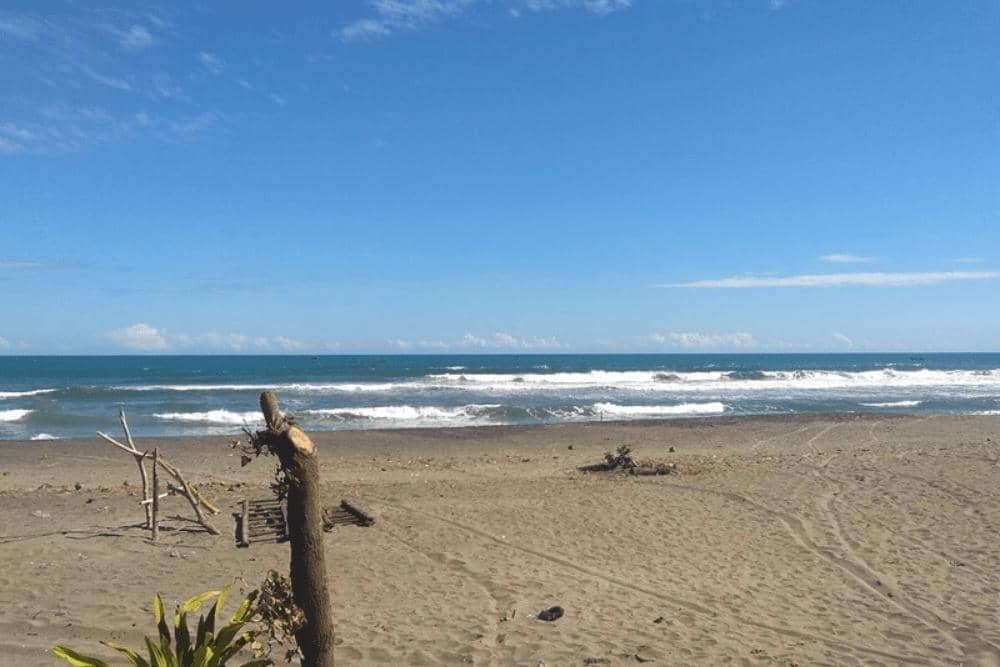 Situs nativeindonesia.com