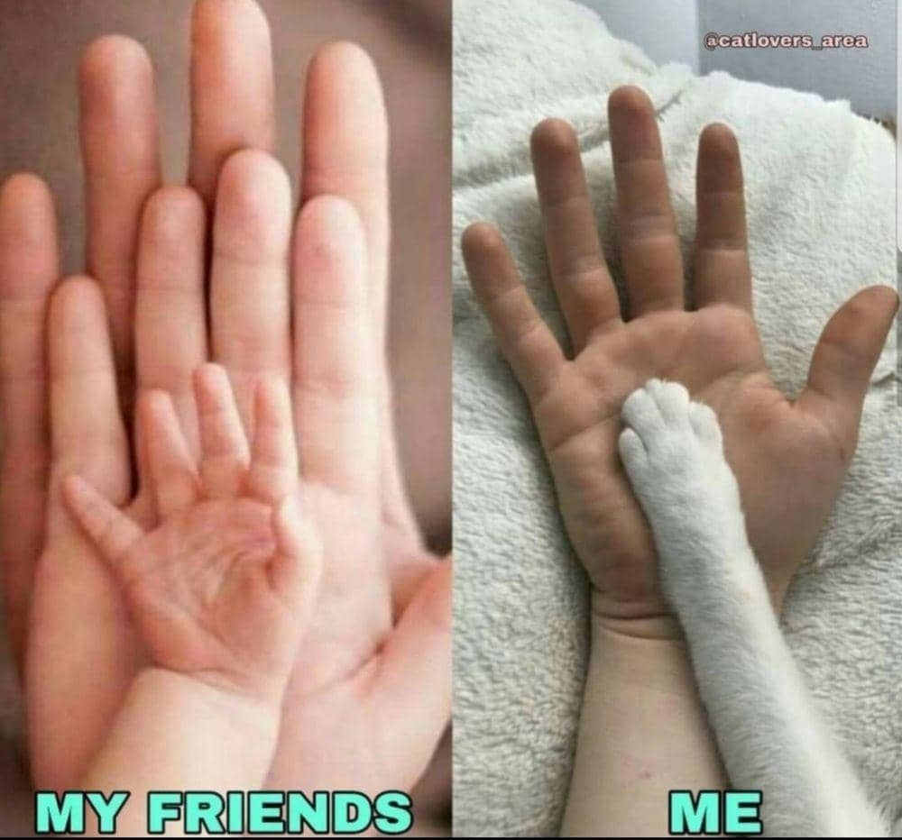 twitter.com/virvinia_