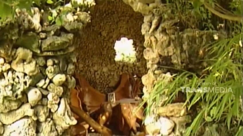 YouTube.com/TRANS TV Official