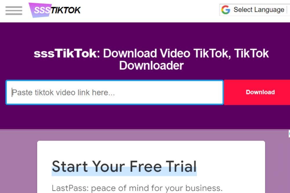 ssstiktok.tools