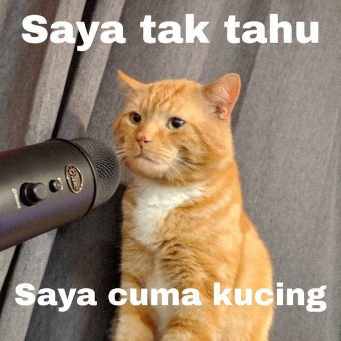 twitter.com/kaesangp