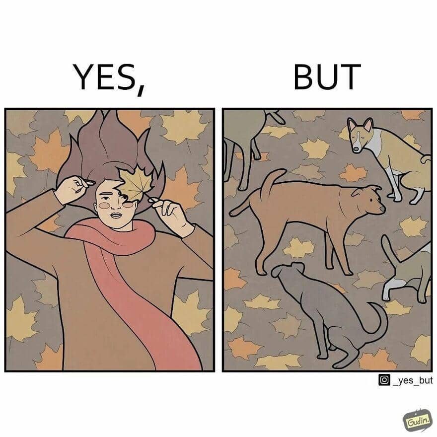 Instagram.com/_yes_but