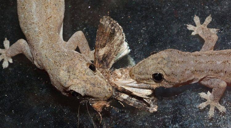 Wilsonperfomancelab.com