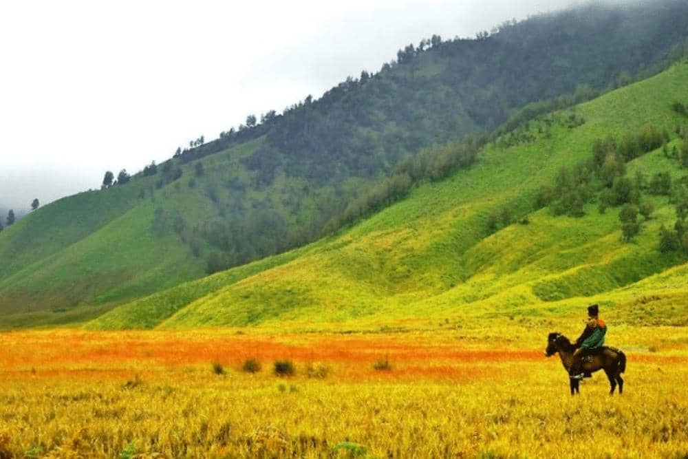 Situs tempatwisataseru.com