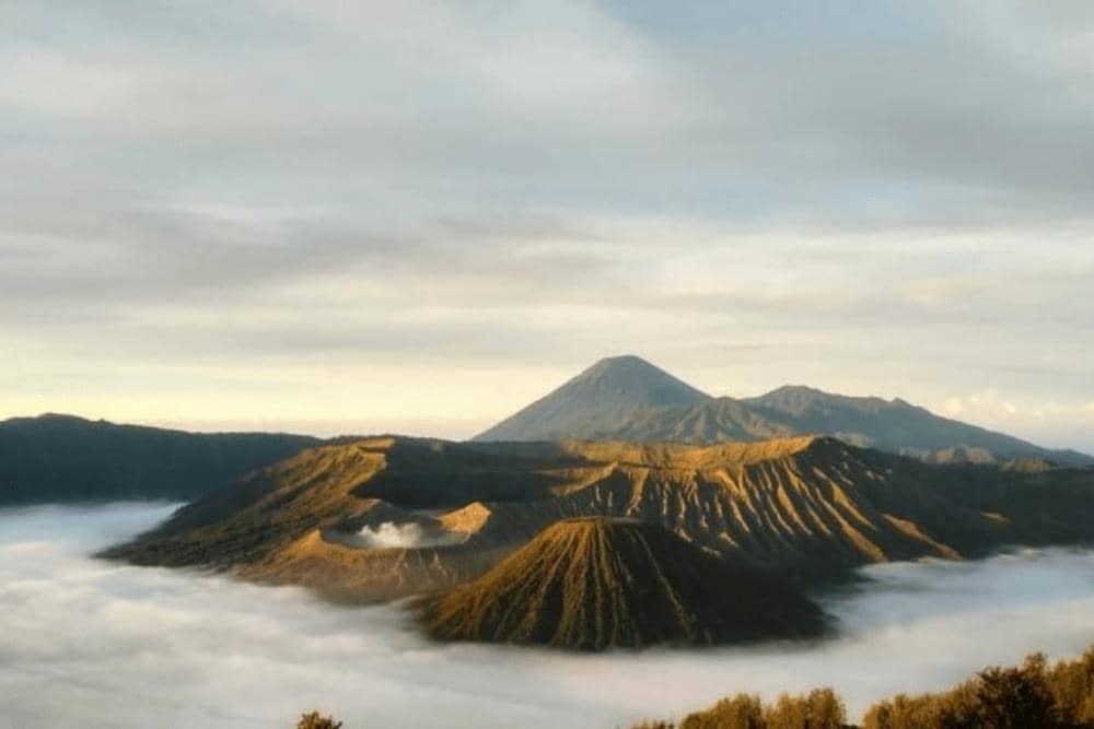 Situs travel.tribunnews.com