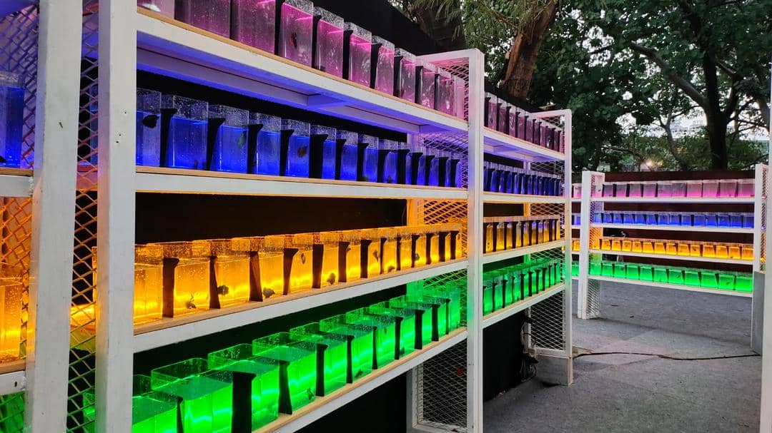 Popbela.com/Niken Ari