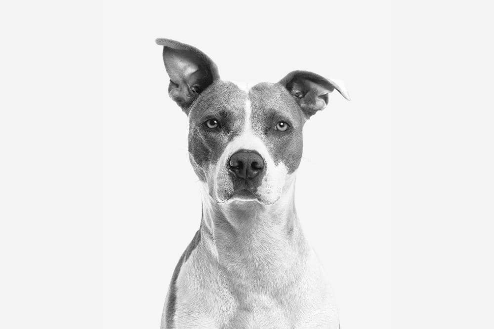 pexels.com/Gilberto Reyes