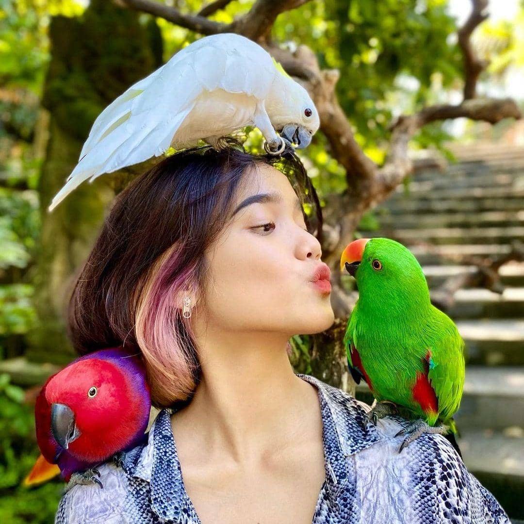 instagram.com/fuji_an