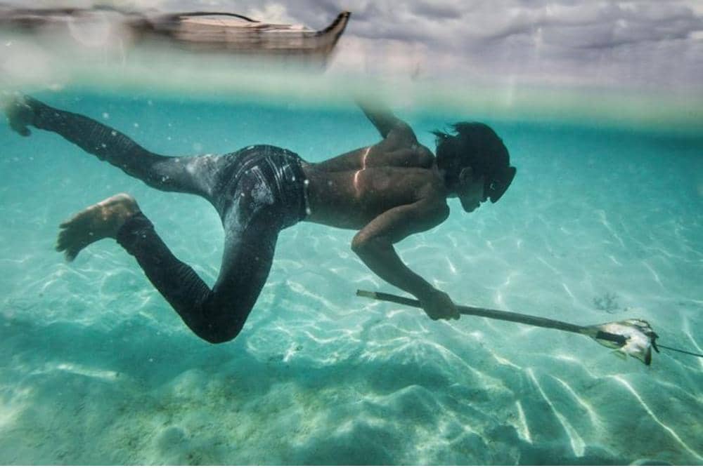 nationalgeographic.grid.id/