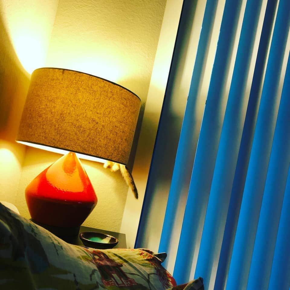 Twitter.com/Thereisnocat_