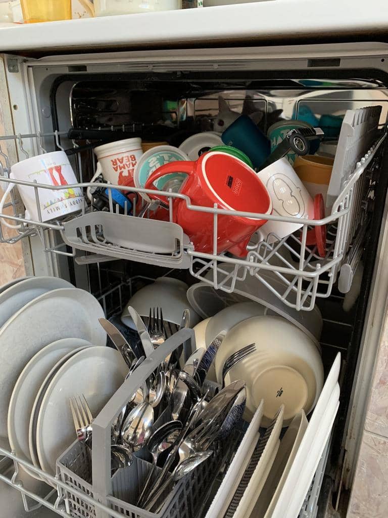 Twitter.com/Thereisnocat_