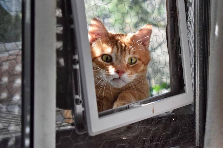 Unsplash.com/Jennifer Uppendah