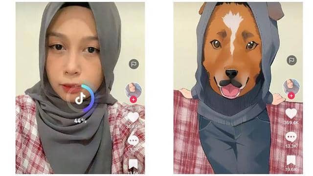 twitter.com/xoraines