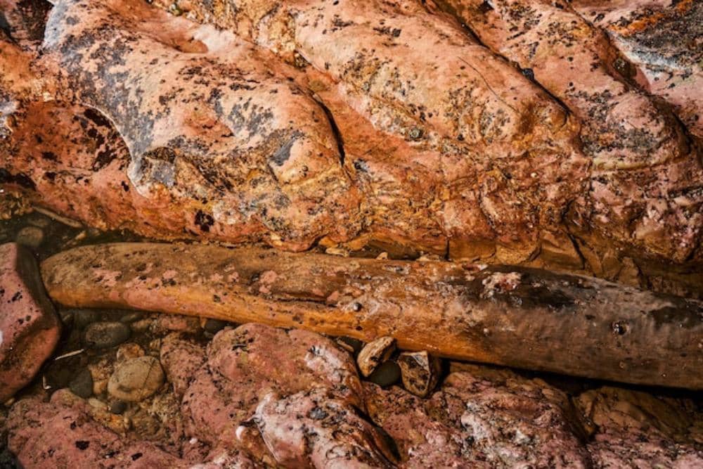 nationalgeographic.com