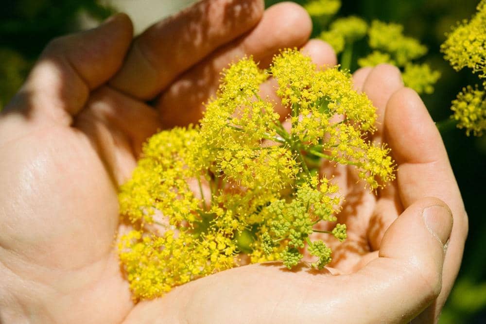 nationalgeographic.com