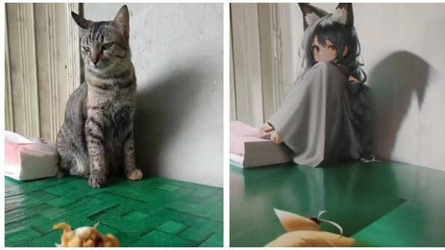 twitter.com/youroysters