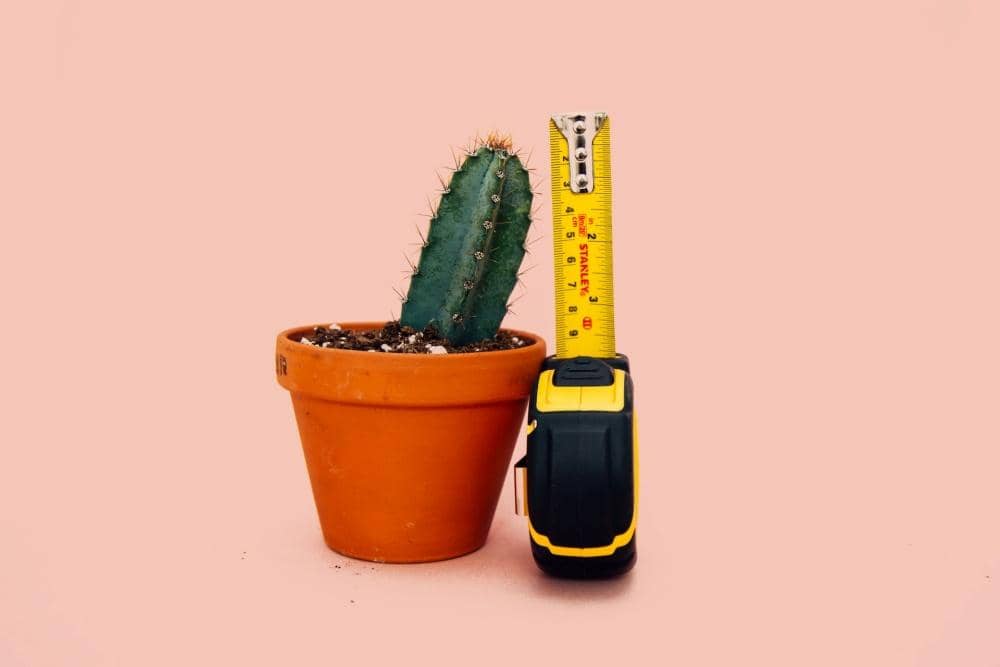 Unsplash.com/Charlesdeluvio