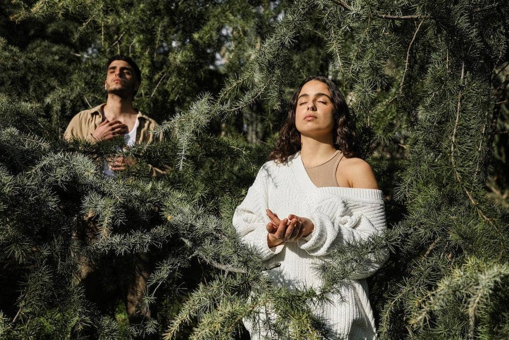 Pexels.com/Cup of Couple