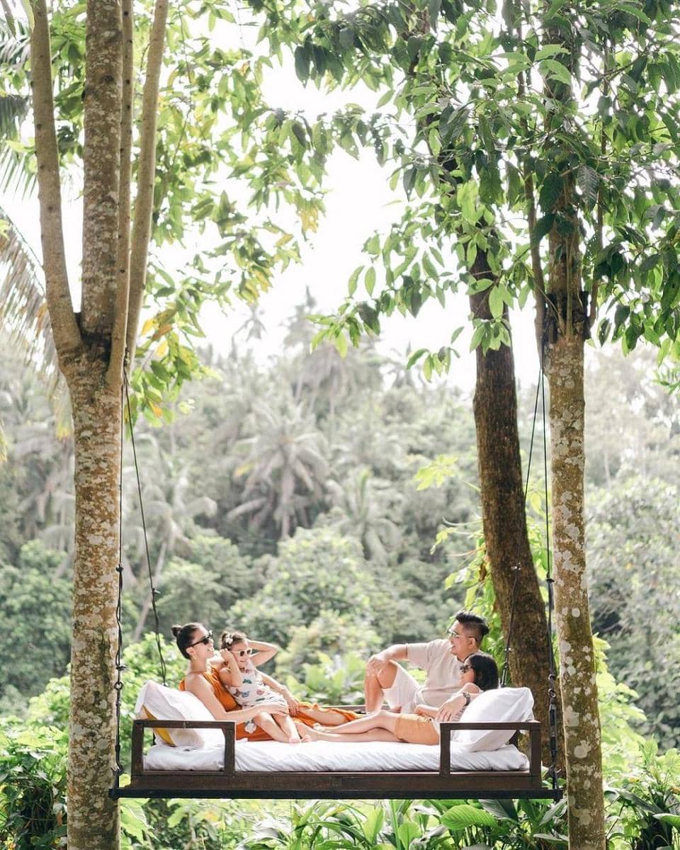 Instagram.com/tail_wagging