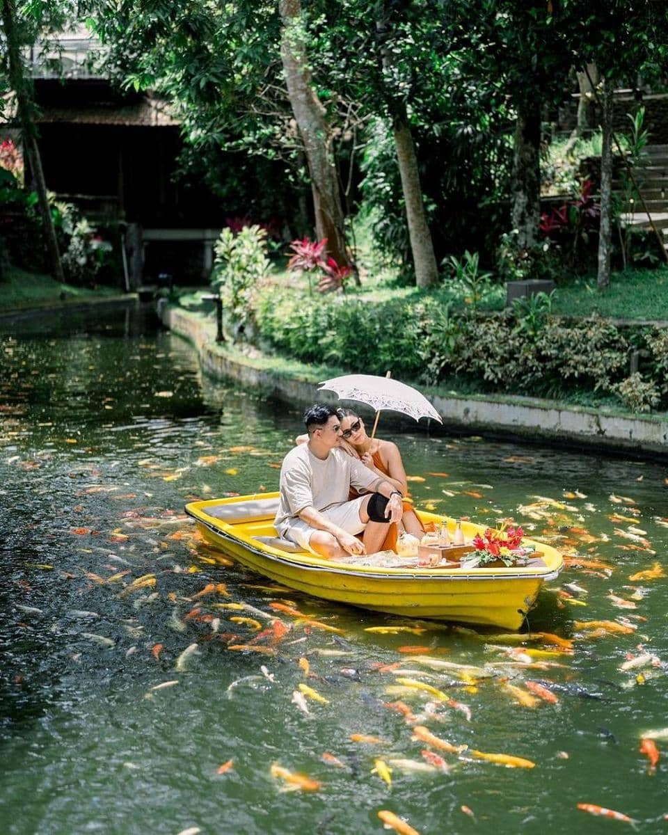 Instagram.com/tail_wagging