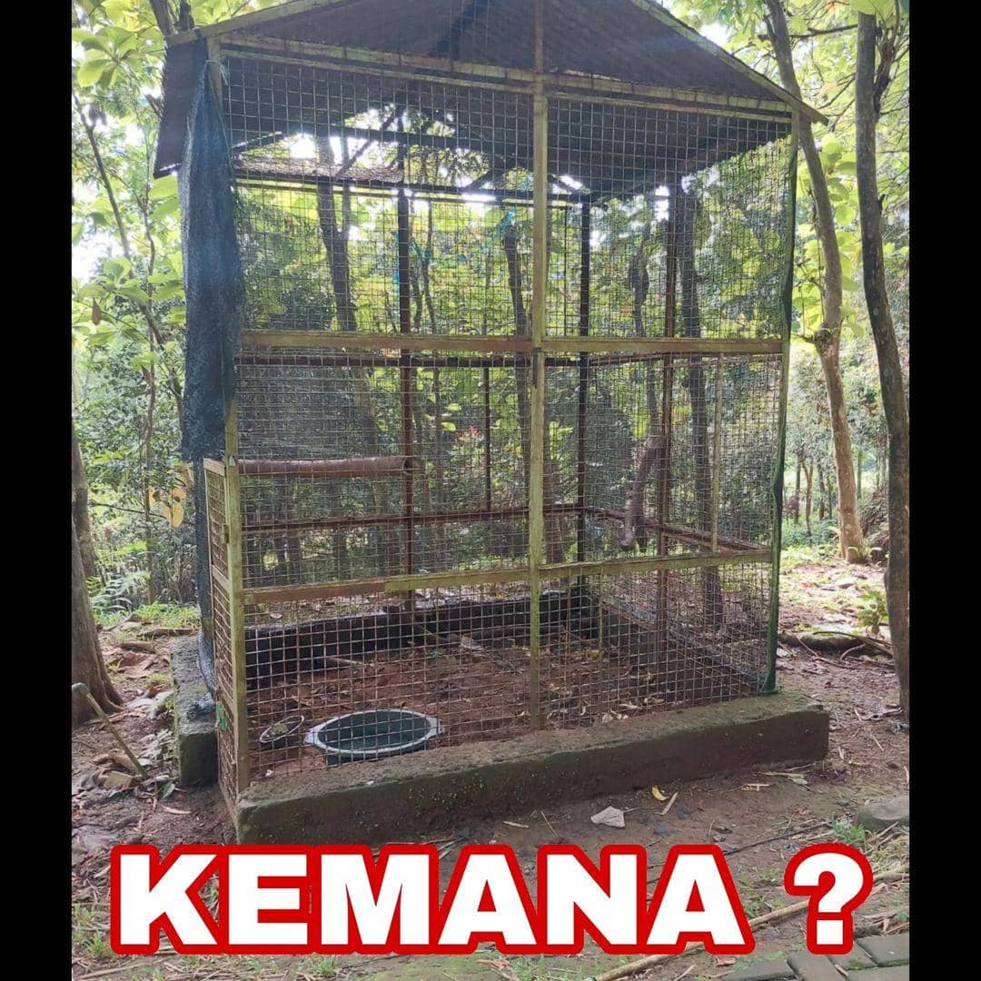 instagram.com/doniherdaru