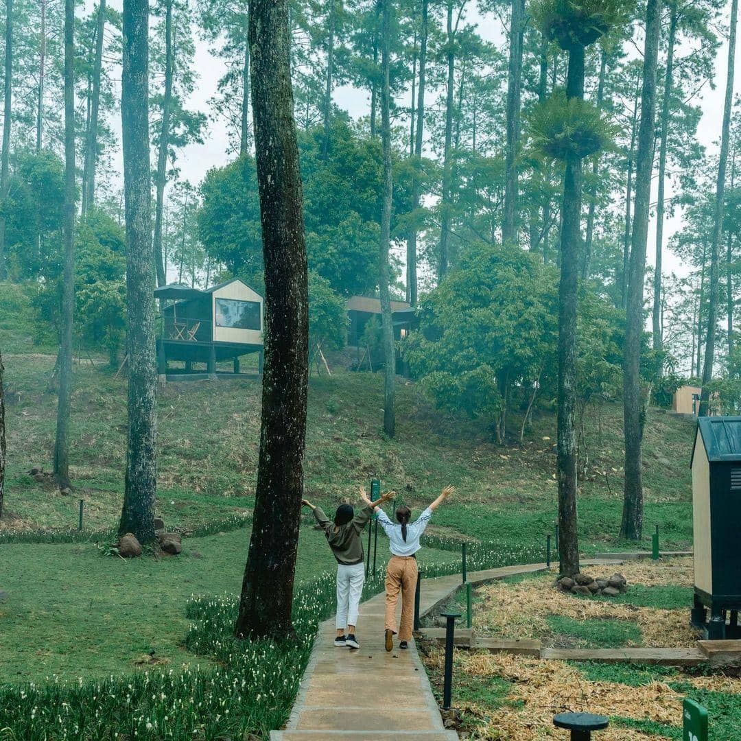 Instagram.com/Bobocabin