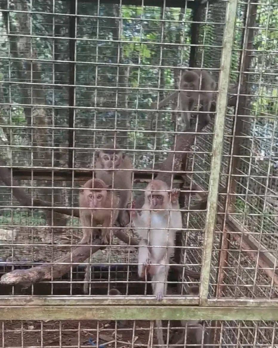 instagram.com/doniherdaru